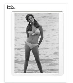 Clearance Image Republic Affiche La Galerie Raquel Welch 4 38 X 56 Cm