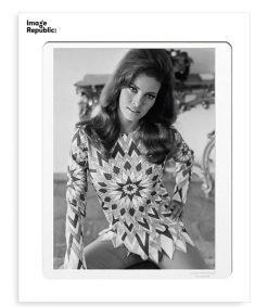 Online Image Republic Affiche La Galerie Raquel Welch 5 38 X 56 Cm