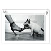 Wholesale Image Republic Affiche La Galerie Jane De Boy Raoul 40 X 50 Cm