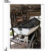 Wholesale Image Republic Mariscal "Barque Chien" 10.5 X 15 Cm