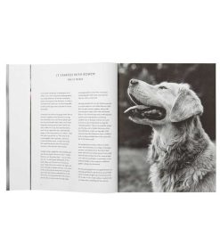 Hot Taschen Livre The Golden Retriever Photographic Society