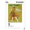 Hot Image Republic Affiche Playboy Couverture Avril 1970 38 X 56 Cm