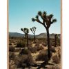 New Lola James Harper Tableau Avec Cadre "Joshua Tree" 30X40Cm