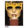 Hot Image Republic Affiche Playboy Couverture Aout 1982 38 X 56 Cm